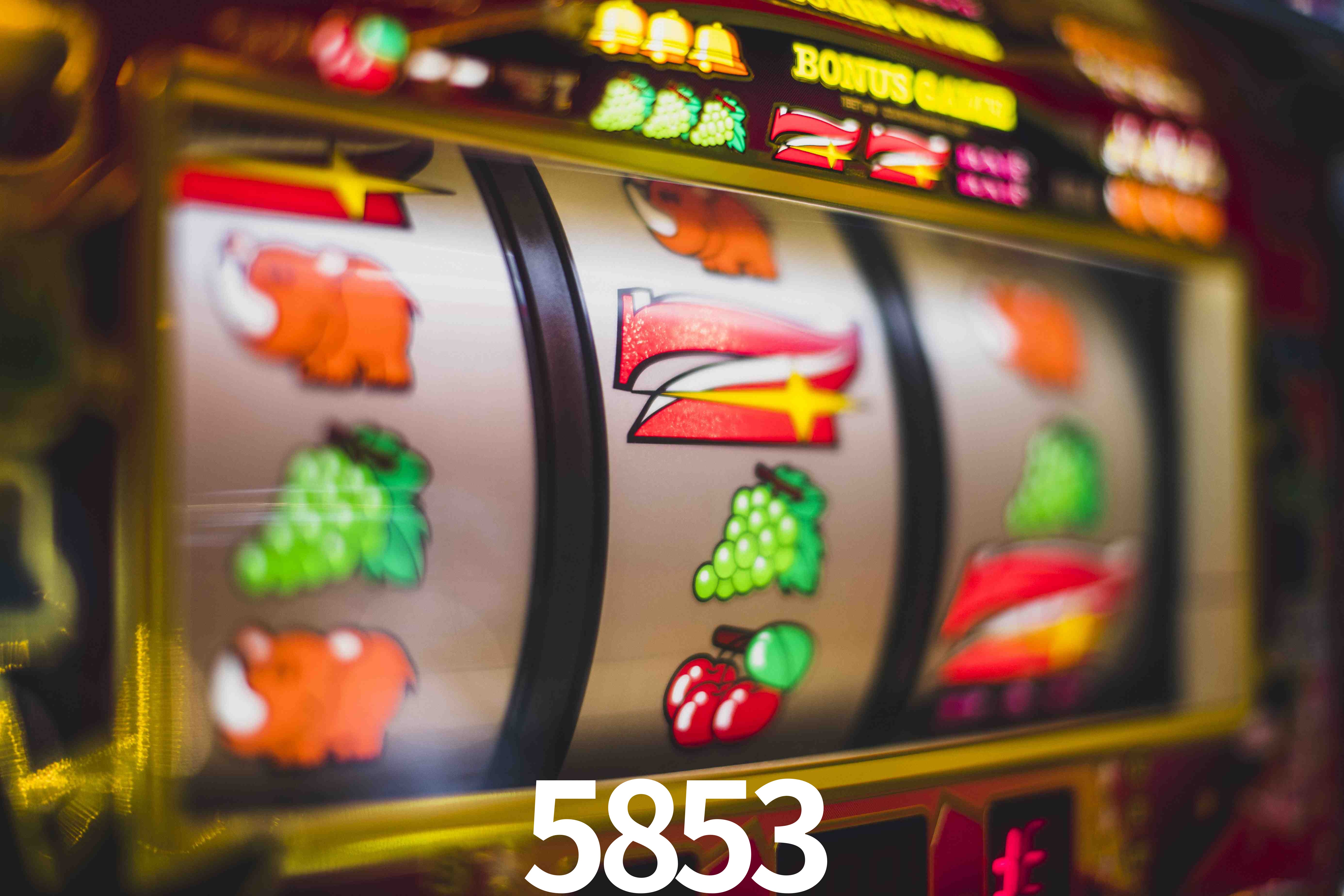 VIP Casino 5853
